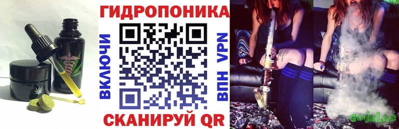как найти наркотики Гаврилов-Ям Cannafood конопля