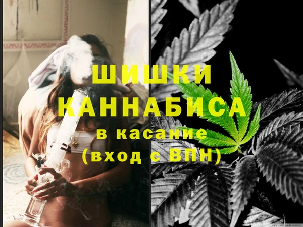 прущие грибы Бородино