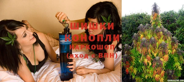 мескалин Богородицк