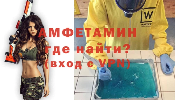 прущие грибы Бородино