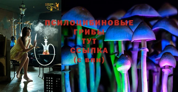 скорость Богданович