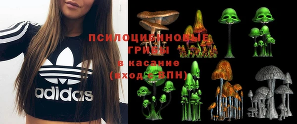 ECSTASY Заволжск