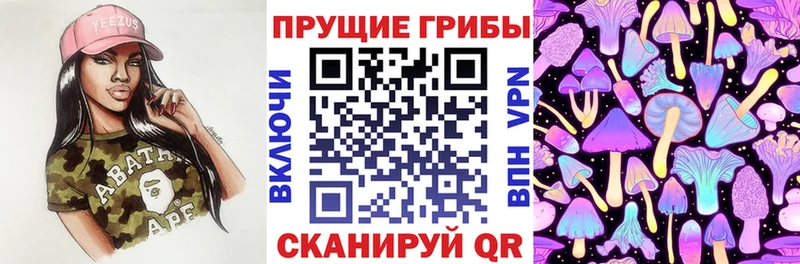 гидра как зайти Гаврилов-Ям Галлюциногенные грибы ЛСД